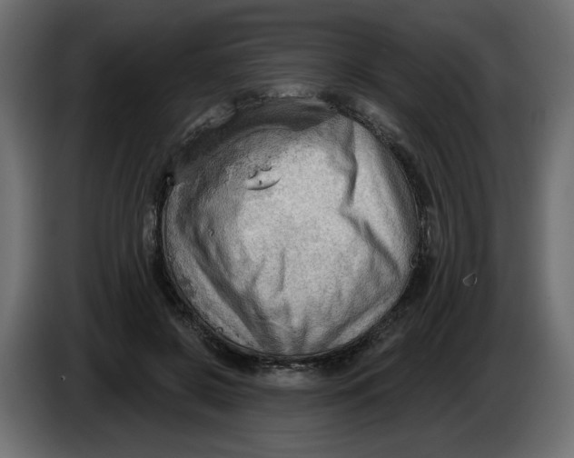 X0000086000550200704131807