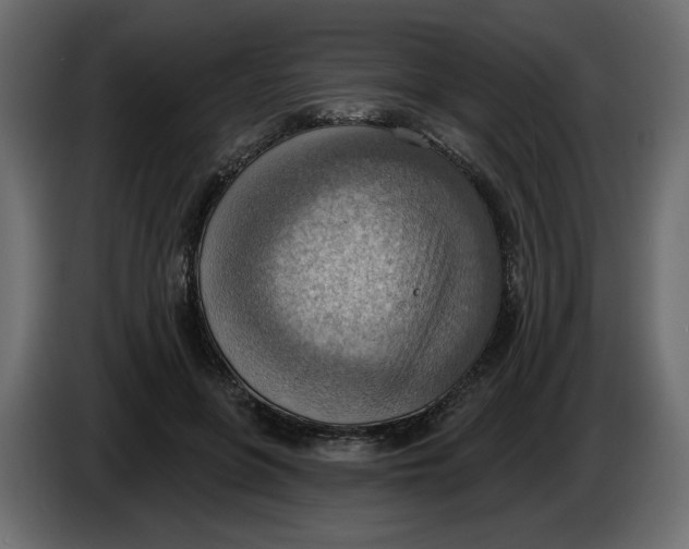 X0000086000551200704131807