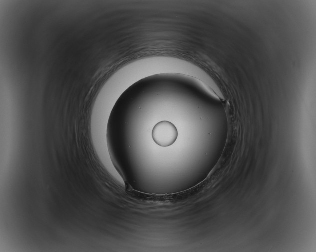 X0000086000552200704131807