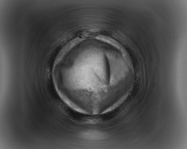 X0000086000555200704131807