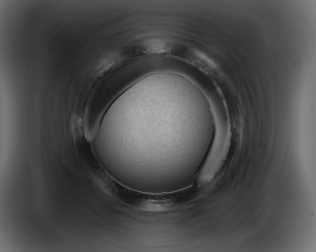 X0000086000556200704131807