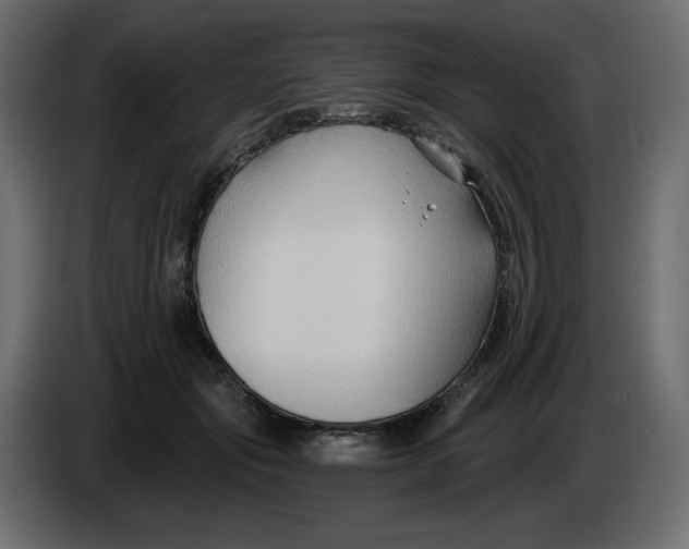 X0000086000557200704131808