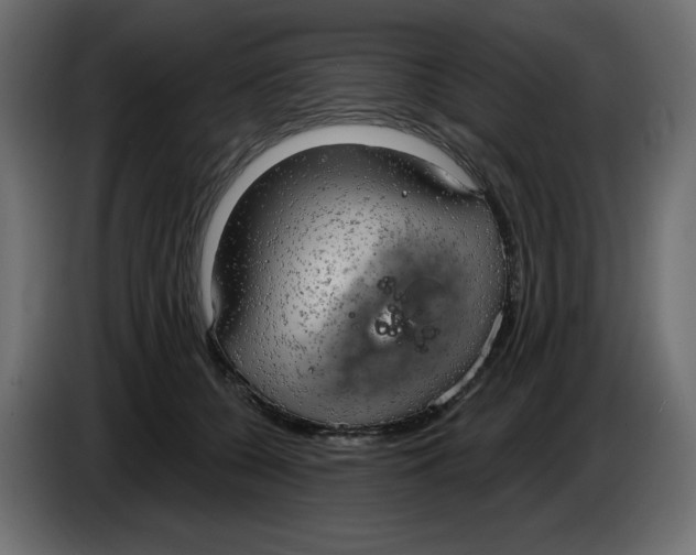 X0000086000560200704131808