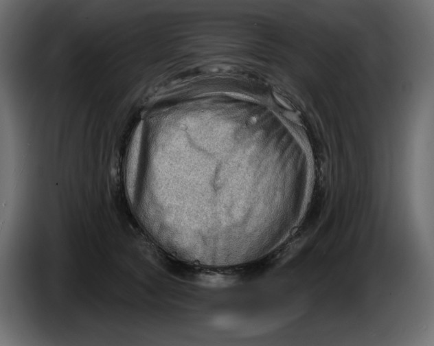 X0000086000561200704131808