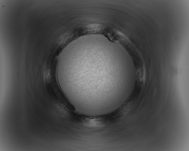 X0000086000564200704131808