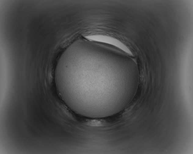 X0000086000566200704131808