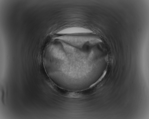 X0000086000568200704131808