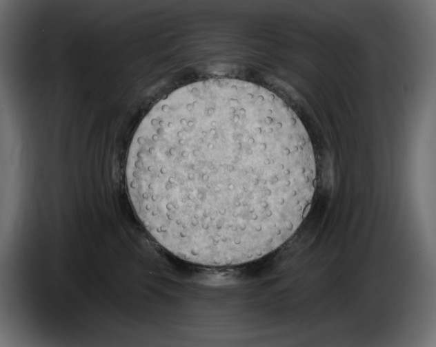 X0000086000569200704131808