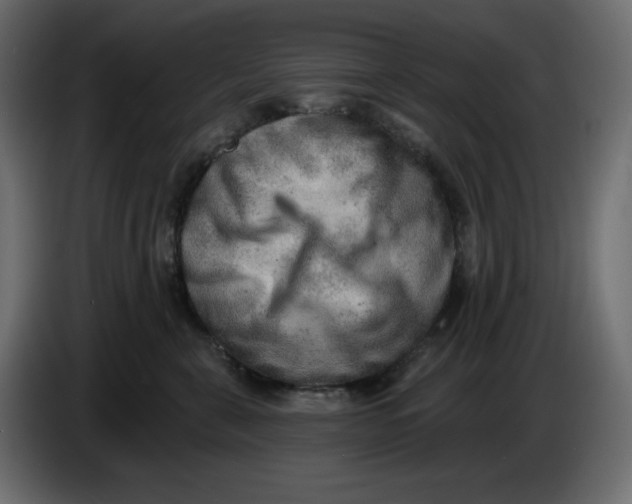 X0000086000571200704131808