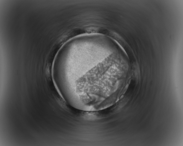 X0000086000573200704131808