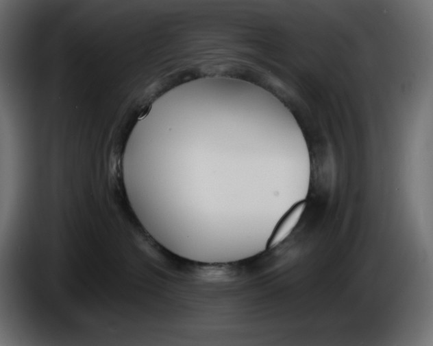 X0000086000574200704131808