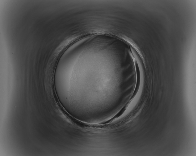 X0000086000577200704131807