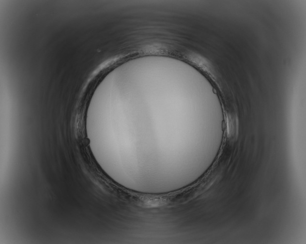 X0000086000579200704131807