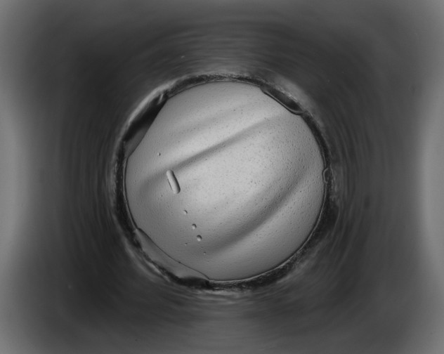 X0000086000580200704131807