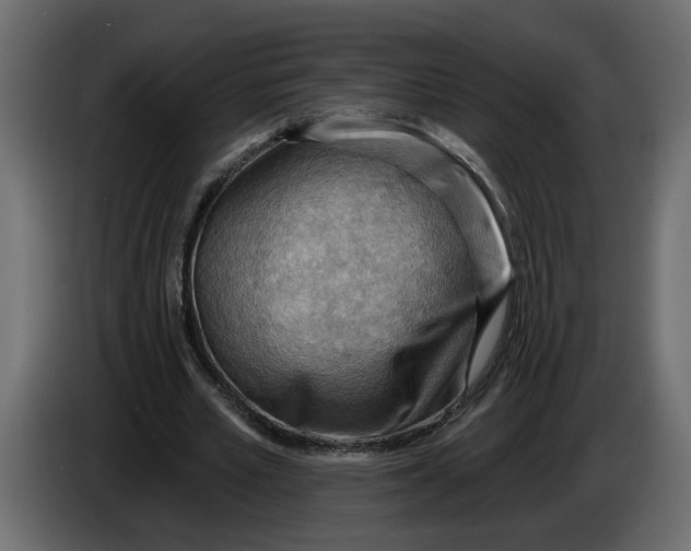 X0000086000581200704131807