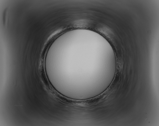 X0000086000583200704131807