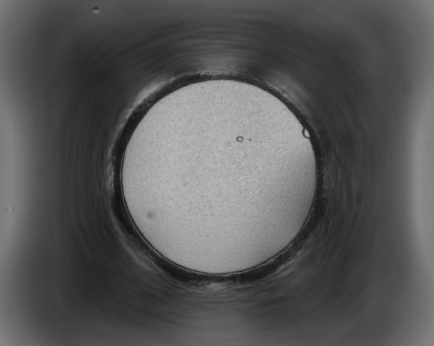 X0000086000584200704131807