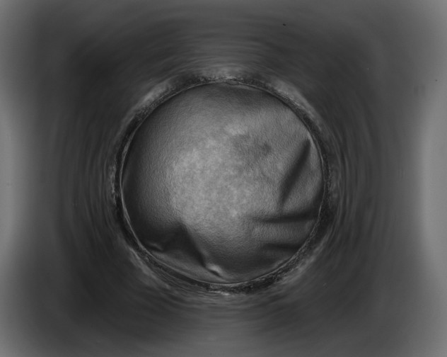 X0000086000585200704131807