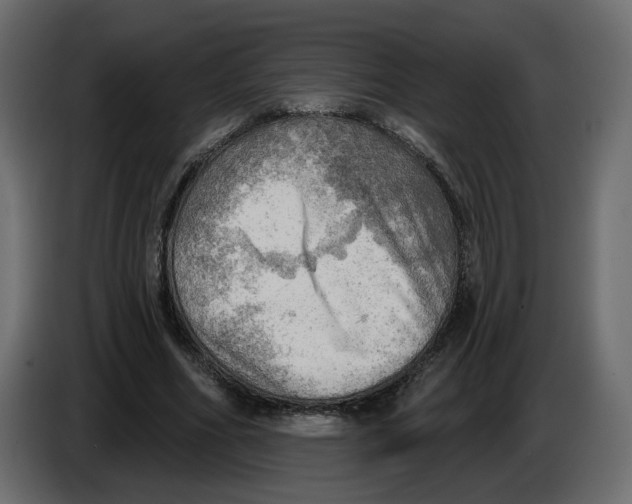 X0000086000586200704131807