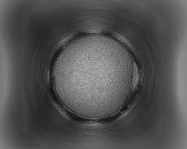 X0000086000589200704131807