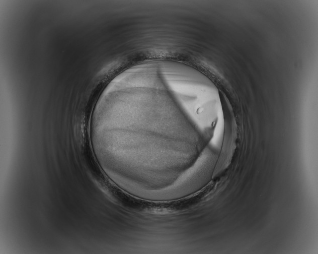 X0000086000590200704131807