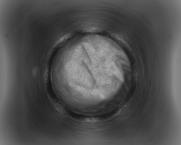 X0000086000591200704131807