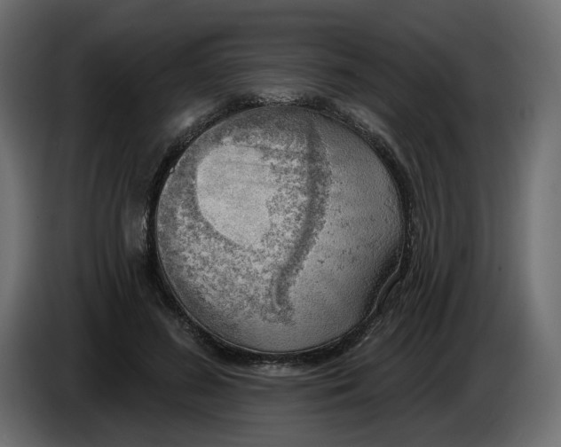 X0000086000596200704131807