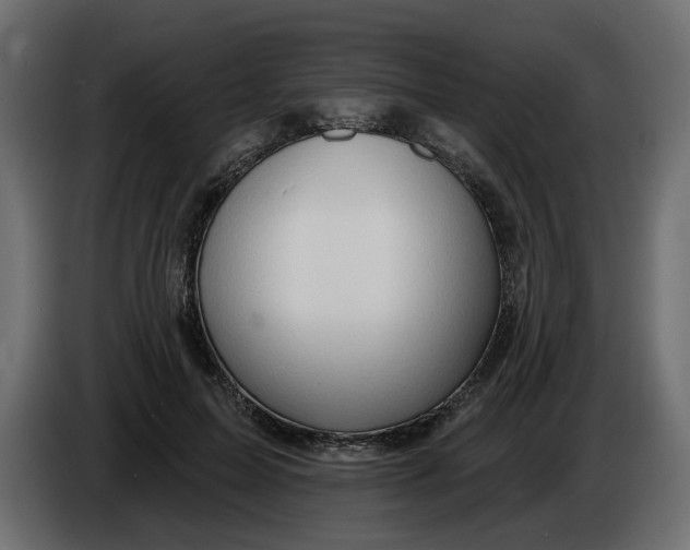 X0000086000599200704131807