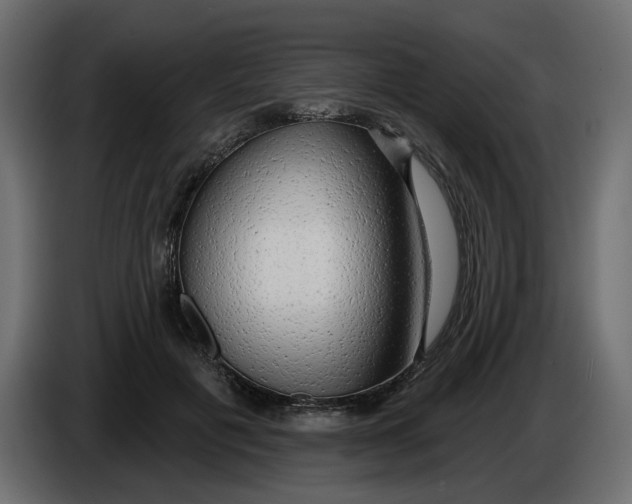 X0000086000601200704131807