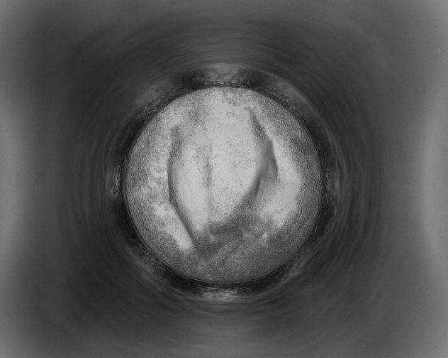 X0000086000602200704131807