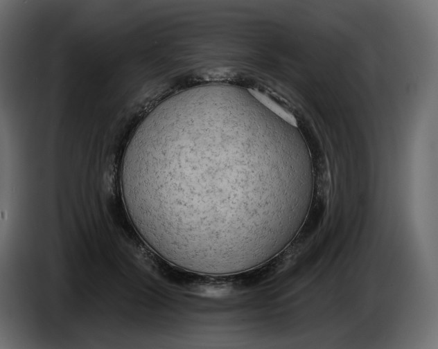 X0000086000604200704131807