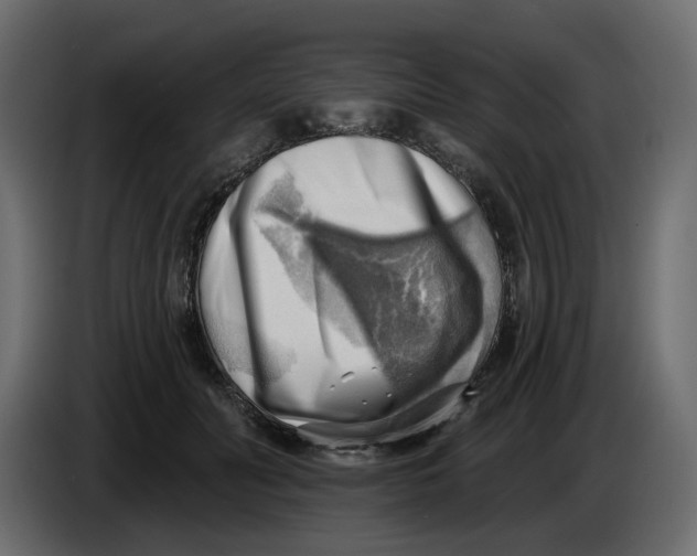 X0000086000606200704131807