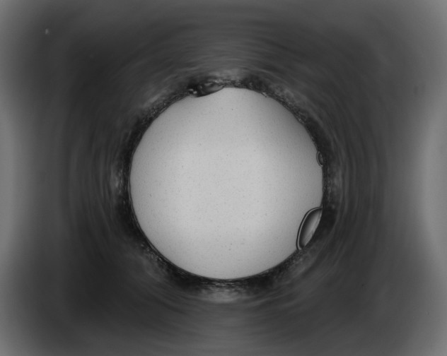 X0000086000608200704131807