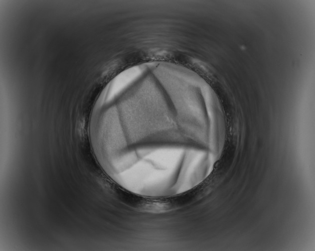 X0000086000610200704131807