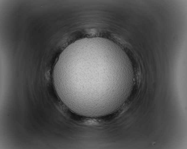 X0000086000611200704131807