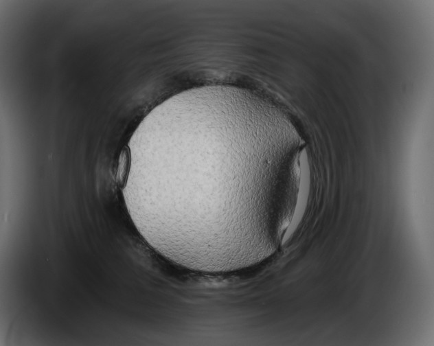 X0000086000613200704131807