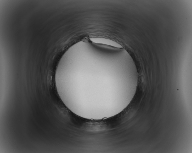 X0000086000615200704131807