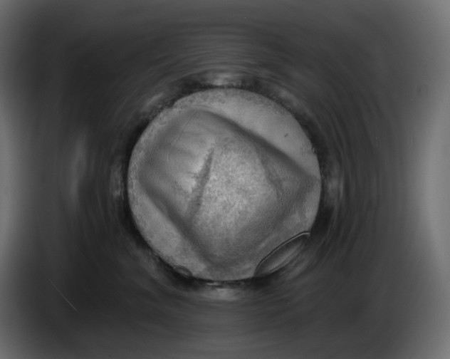 X0000086000620200704131806