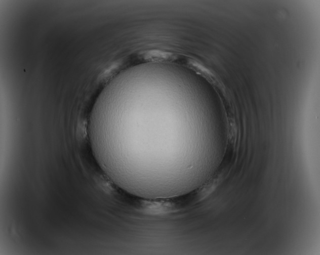 X0000086000621200704131806