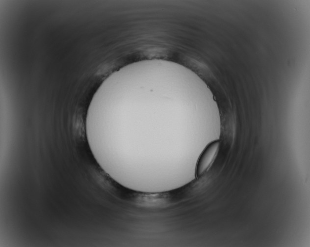 X0000086000622200704131806