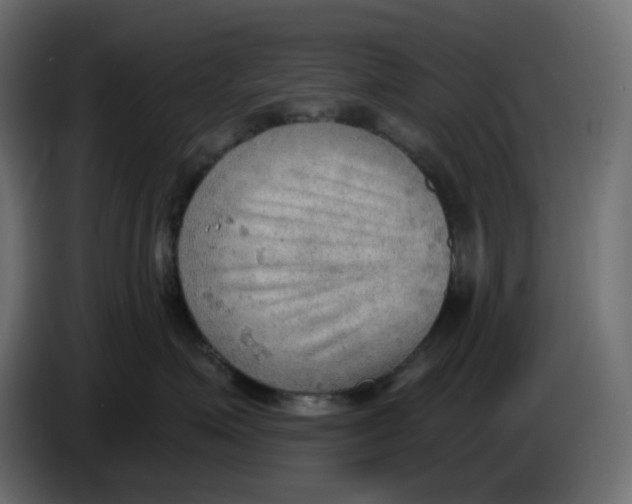 X0000086000623200704131806