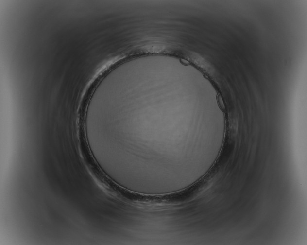 X0000086000626200704131806