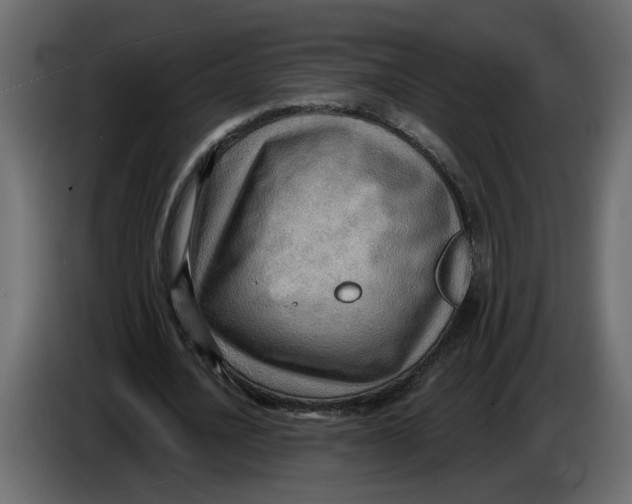 X0000086000628200704131806