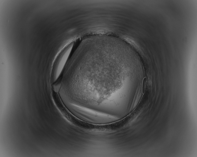 X0000086000630200704131806