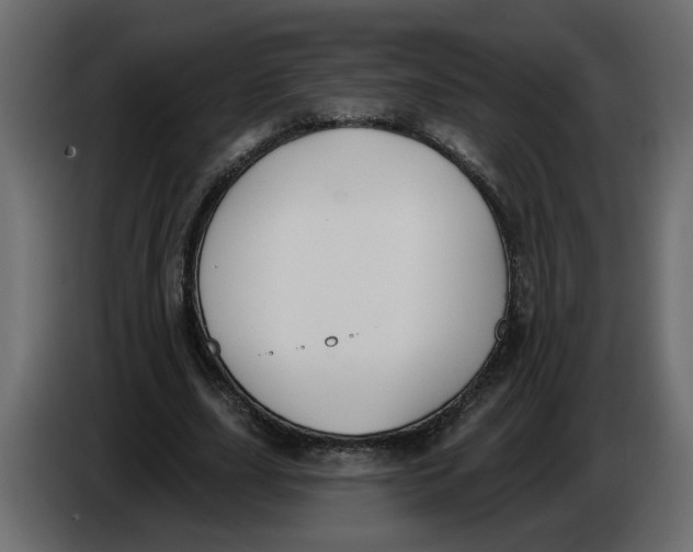 X0000086000631200704131806