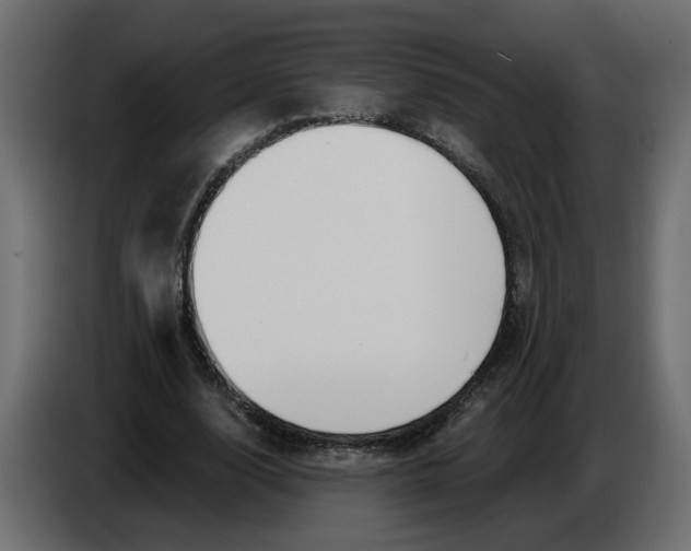 X0000086000632200704131806