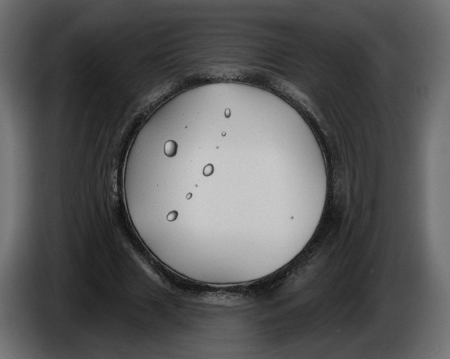 X0000086000633200704131806