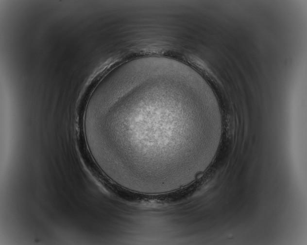 X0000086000634200704131806