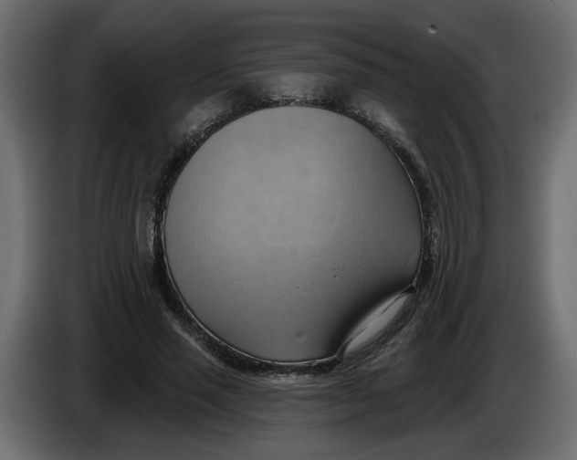 X0000086000637200704131806