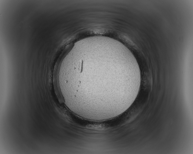 X0000086000639200704131806